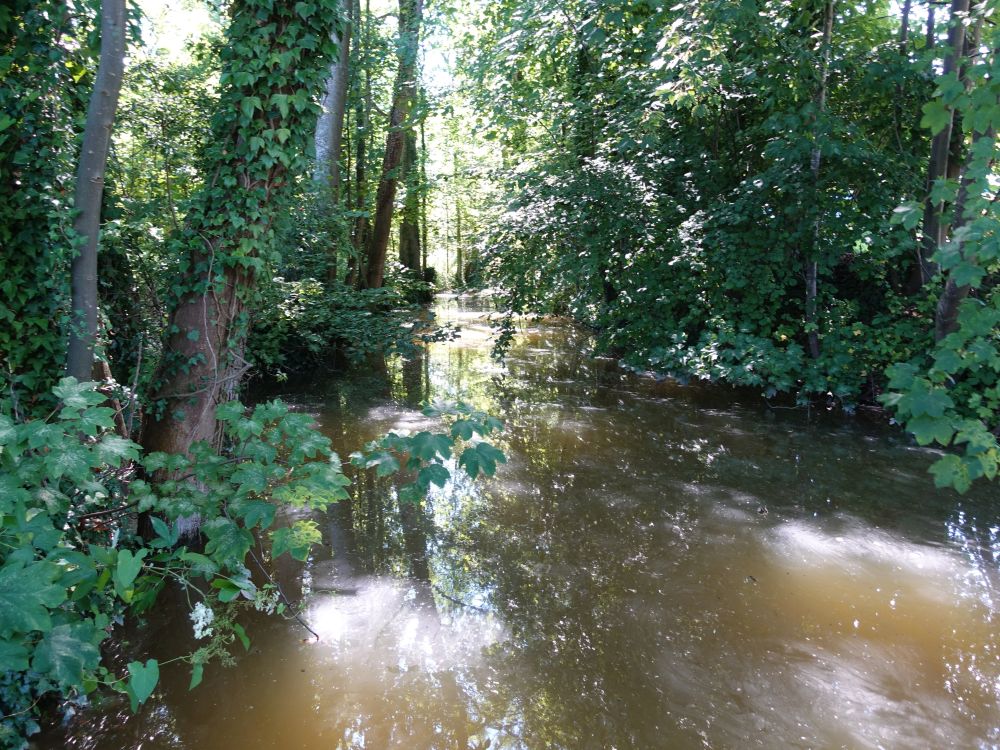 Tümpel am Stichbach