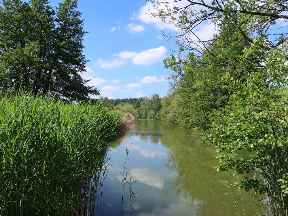 Schübelweiher