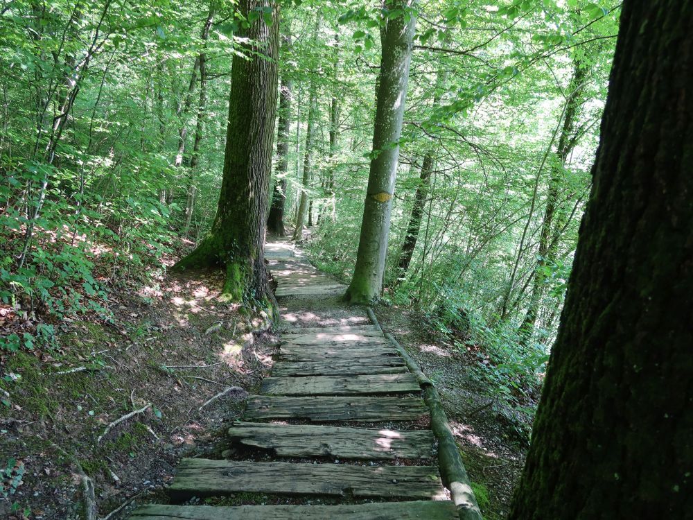 Treppe