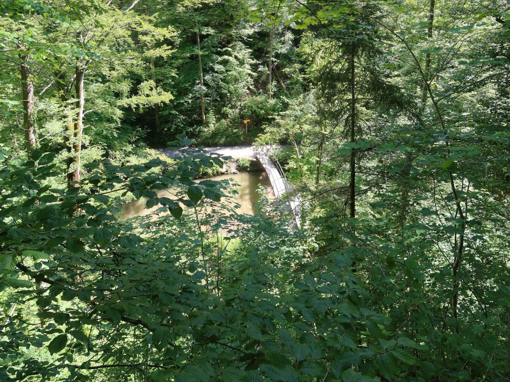 Brücke im Küsnachter Tobel