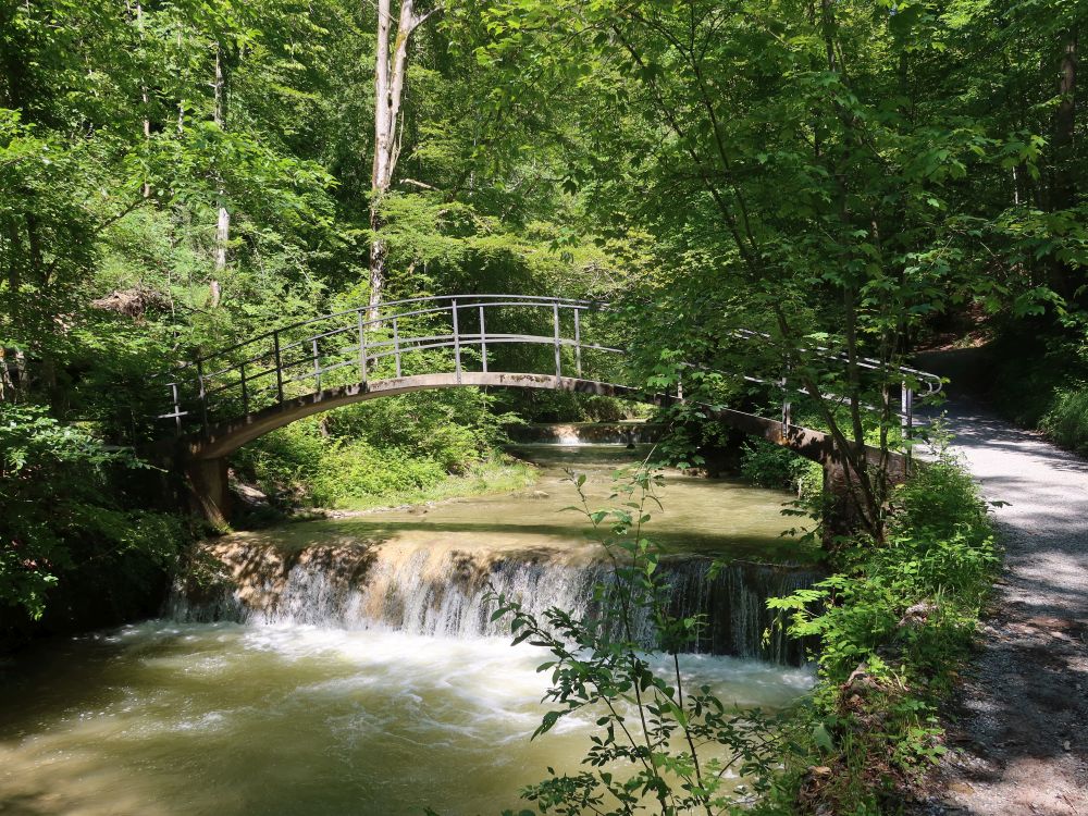 Brücke im Küsnachter Tobel