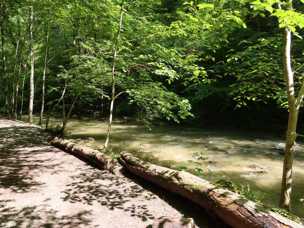 Dorfbach am Tobelweg