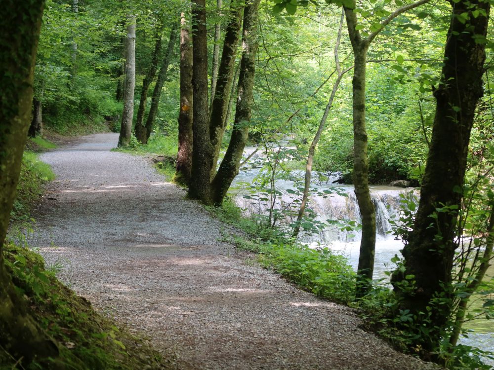 Tobelweg und Dorfbach