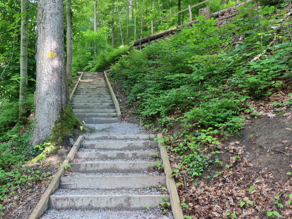 Treppe