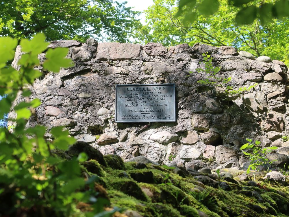 Burgruine Wulp