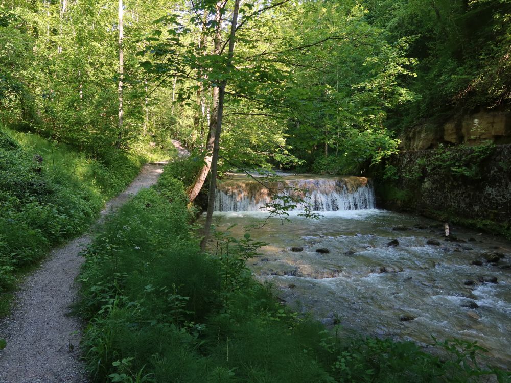 Erlenbacher Tobelweg