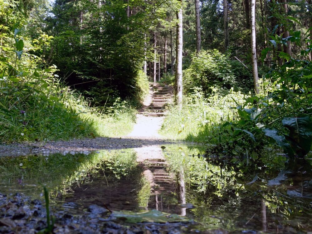 überschwemmter Wanderweg