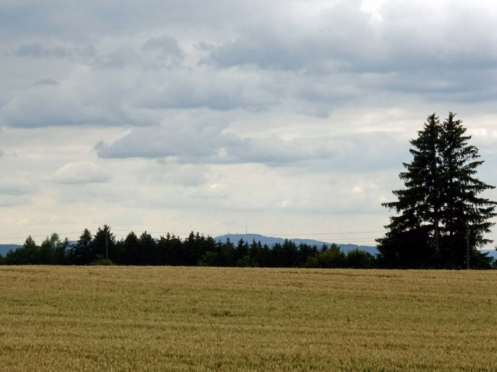 Blick zum Uetliberg