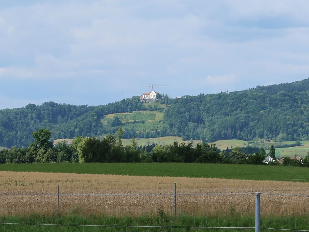 Blick zum Schloss Sonnenberg