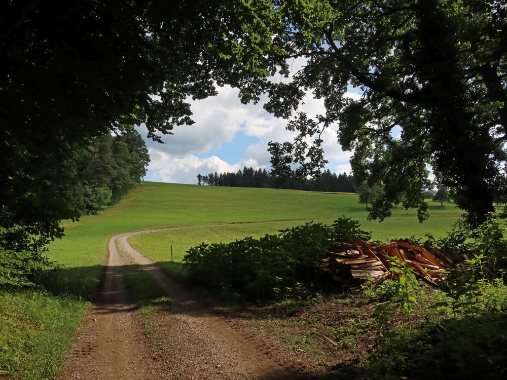 Unders Grütholz