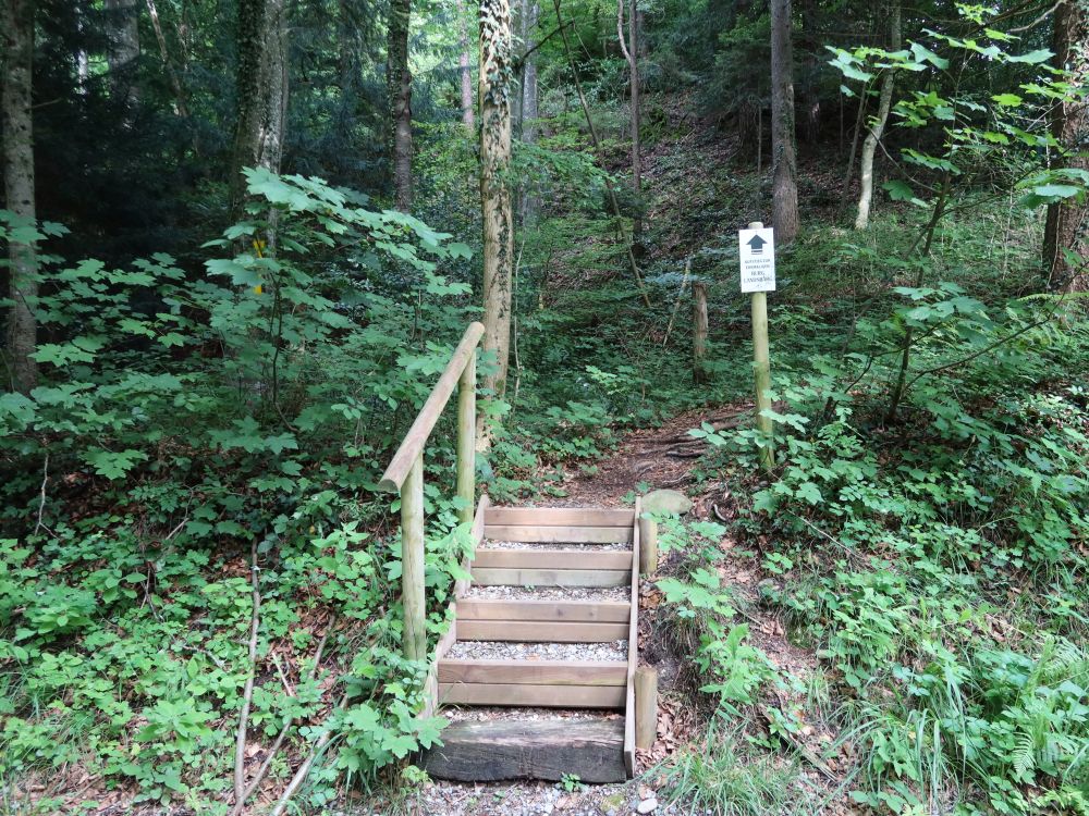 Treppe