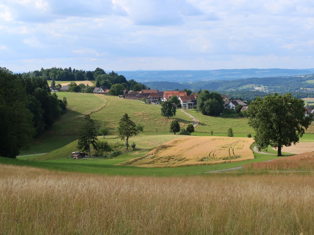 Blick Richtung Ober Tuttwil