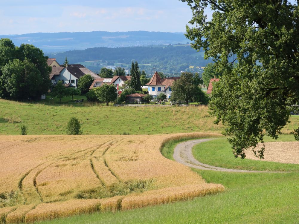 Ober Tuttwil
