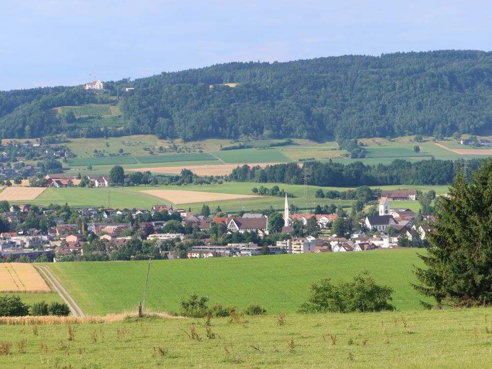 Blick Richtung Wängi