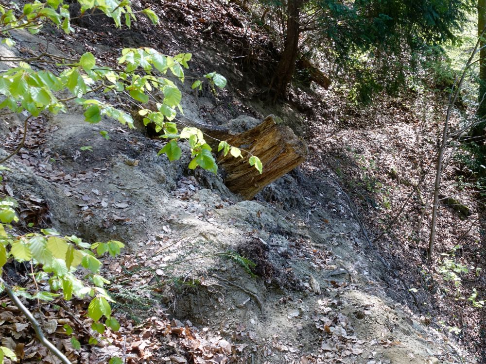 Hangrutsch oberhalb Marienschlucht