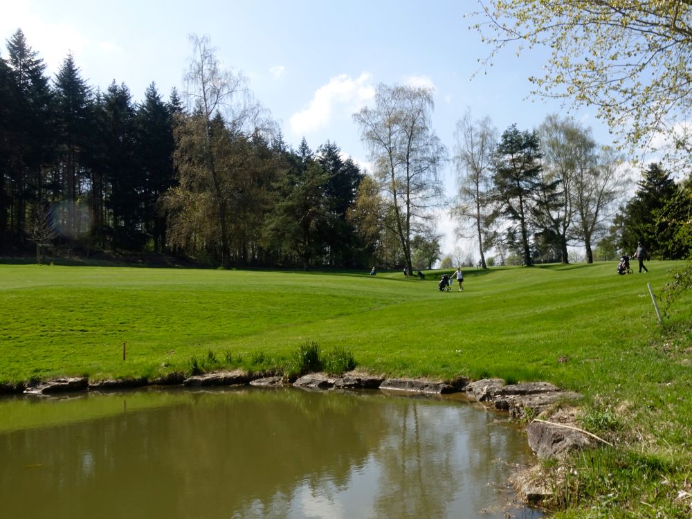 Weiher westlich vom Bruderholz