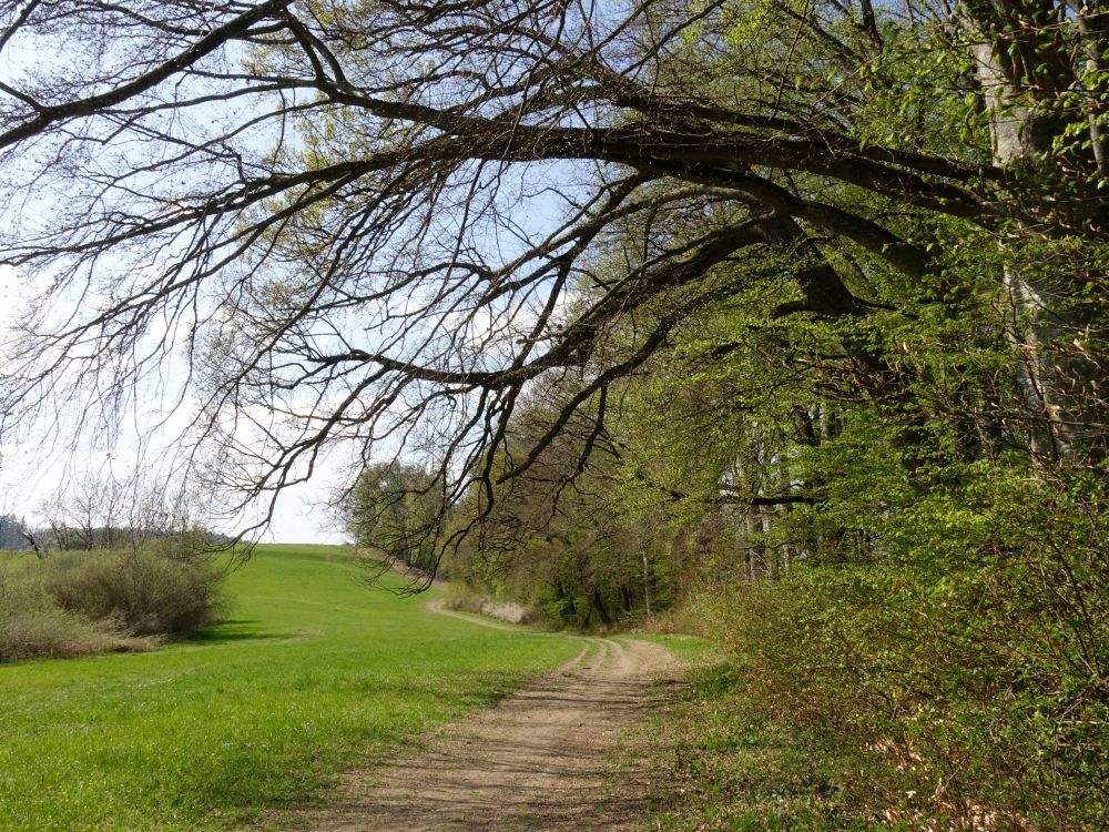 Wanderweg Seegang