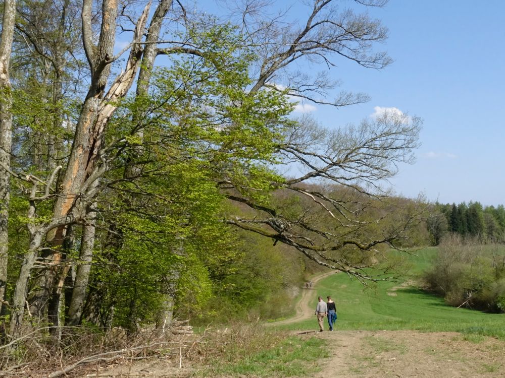 Wanderweg Seegang