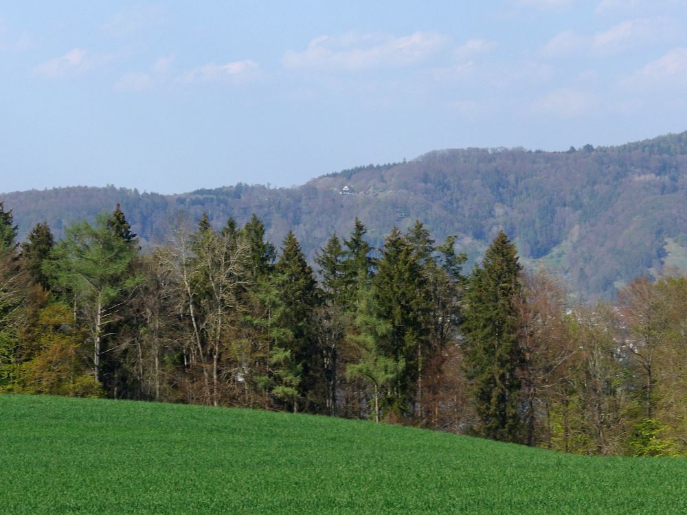 Blick Richtung Haldenhof