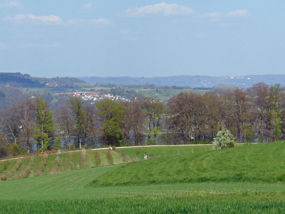 Blick Richung Hödingen und Heiligenberg