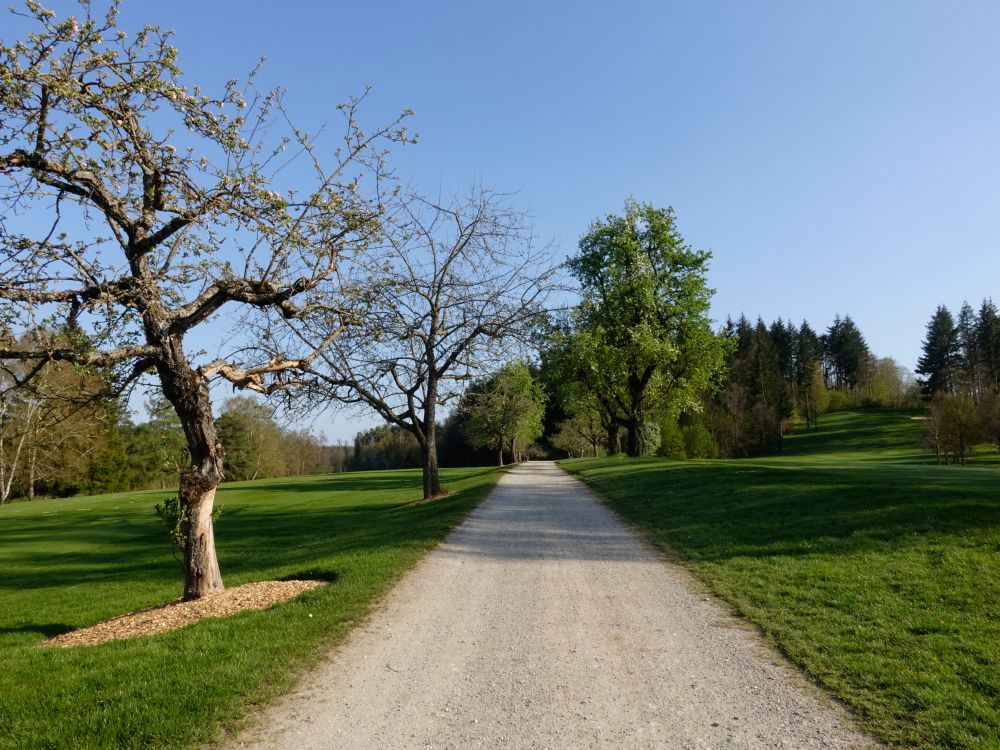 Wanderweg durch den Golfplatz