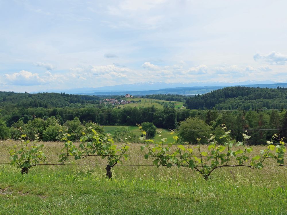 Freudental und Säntis