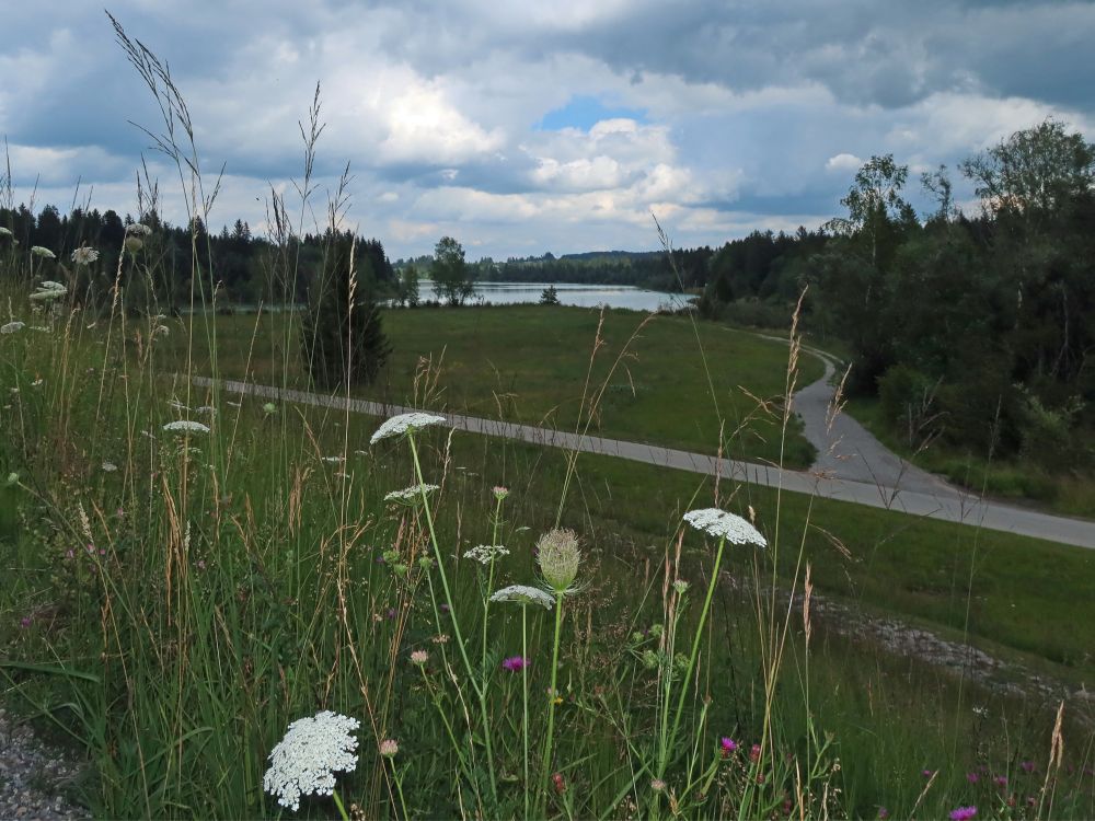 Blick von der Lechstaustufe 2