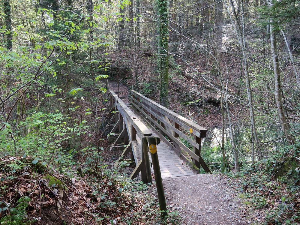 Holzsteg über Hagenaubach