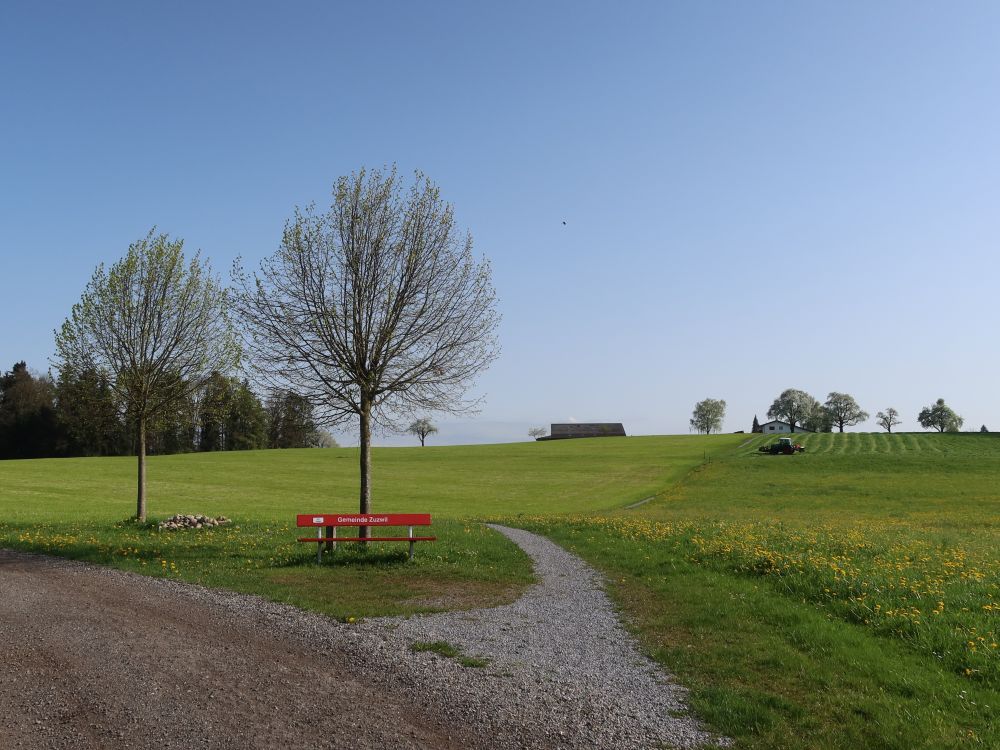 Sitzbank an der Taaselstrasse