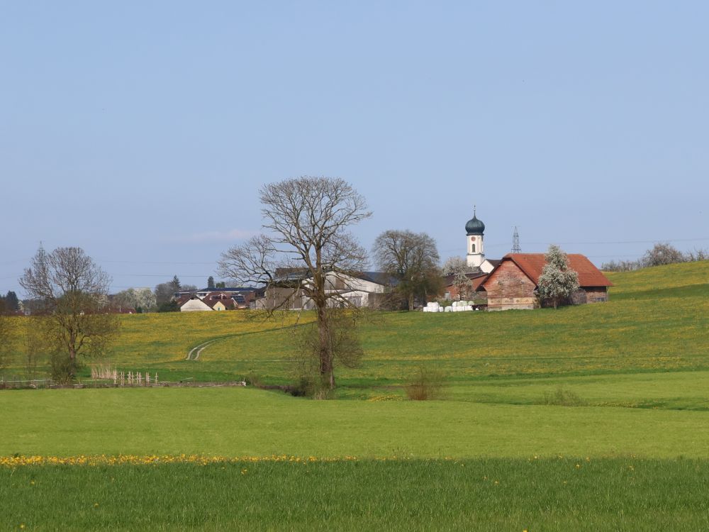 Blick Richtung Lenggenwil