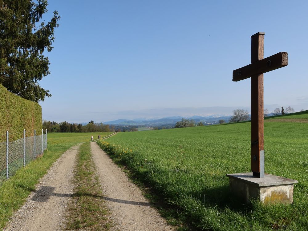 Wegkreuz am Studenholz