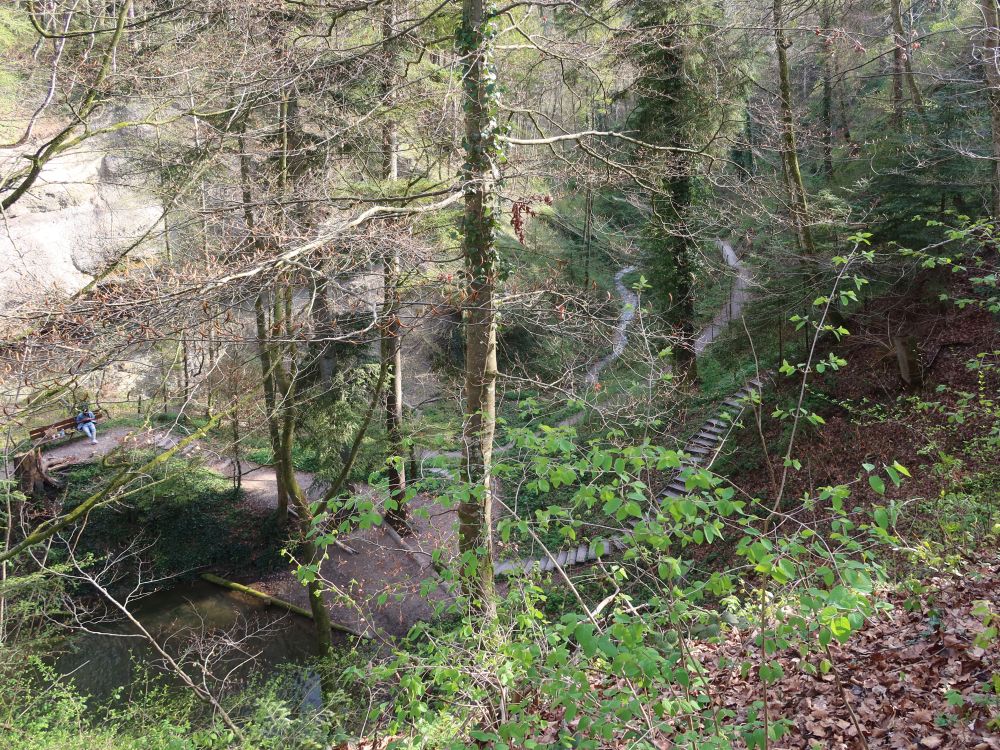 Tobel am Hohlen Stein