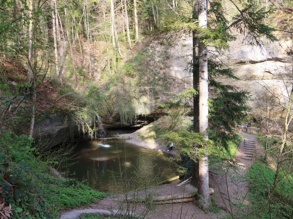 Teich am Hohlen Stein