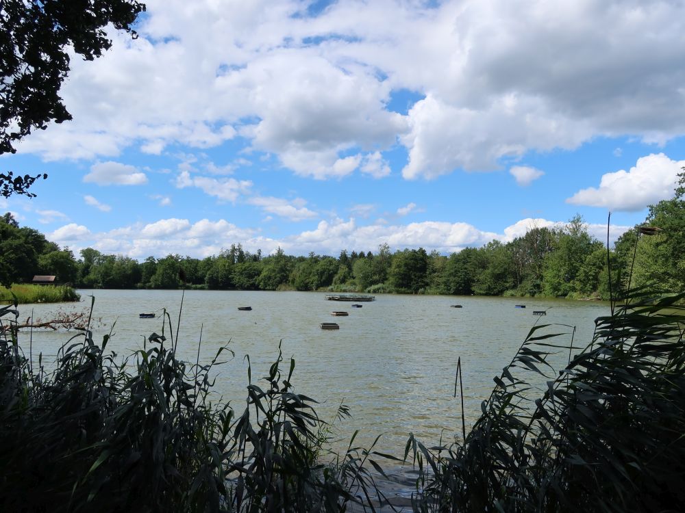 Groossweier