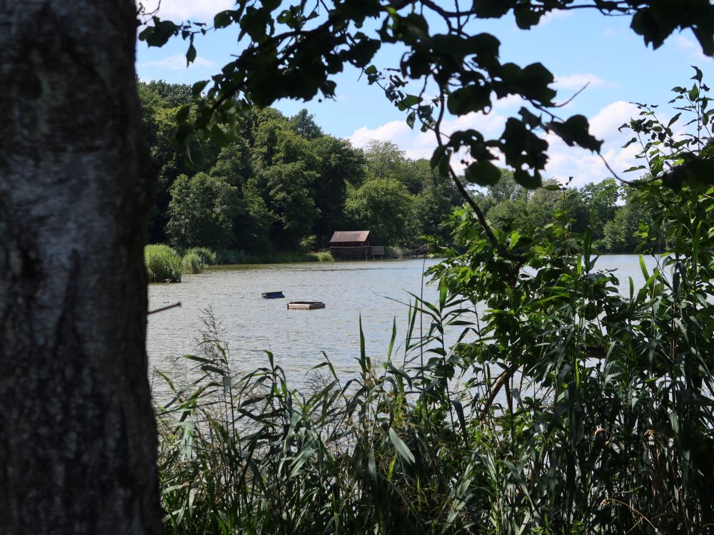 Hütte am Groossweier
