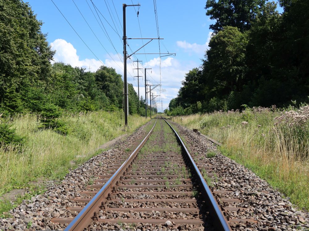 Bahngleis