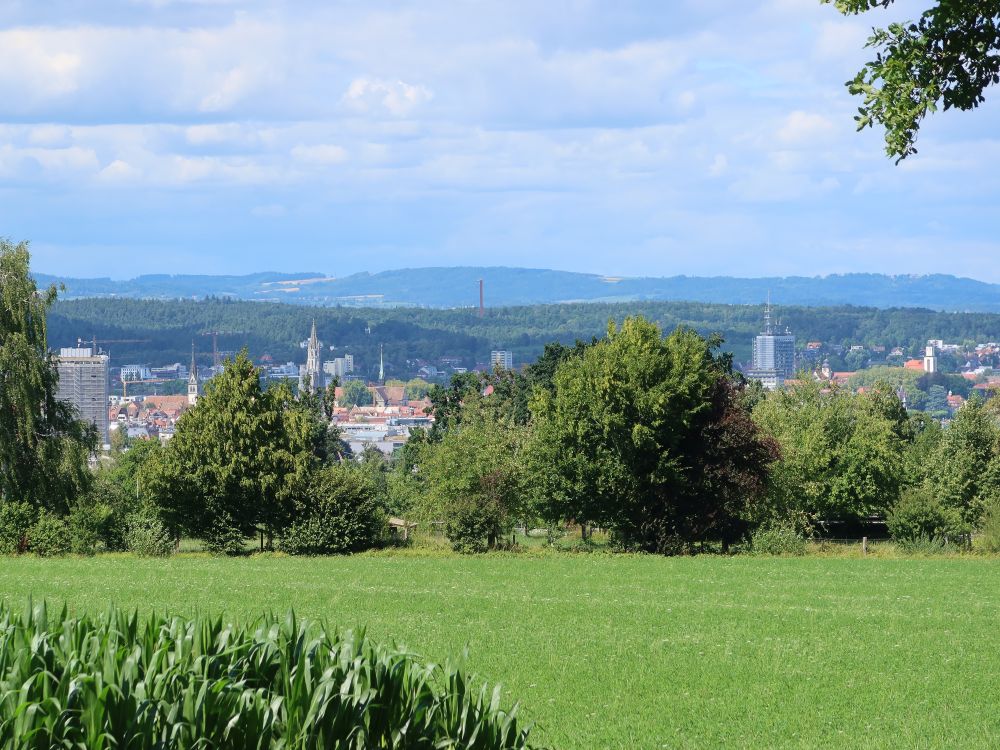 Blick Richtung Konstanz
