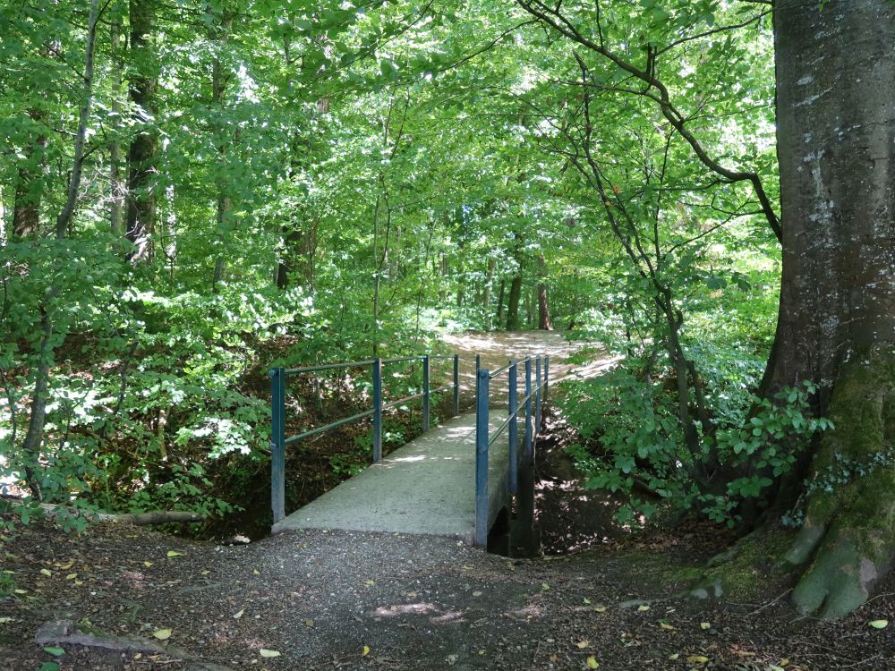 Steg im Unteren Mösli