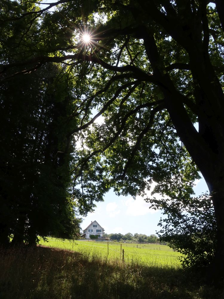 Bauernhof Schrofen im Gegenlicht