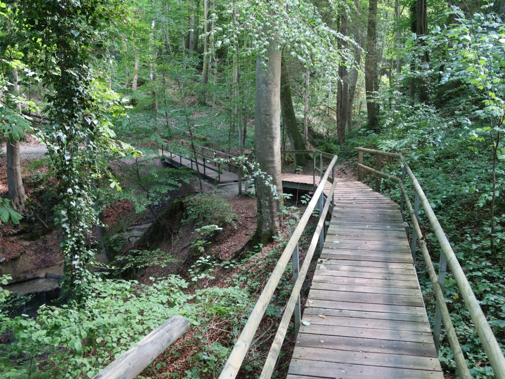 Stege im Schrofetobel