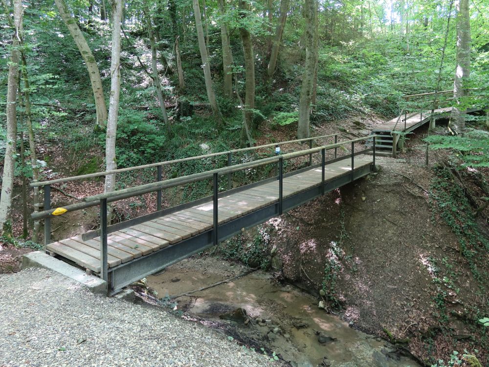 Stege im Schrofetobel