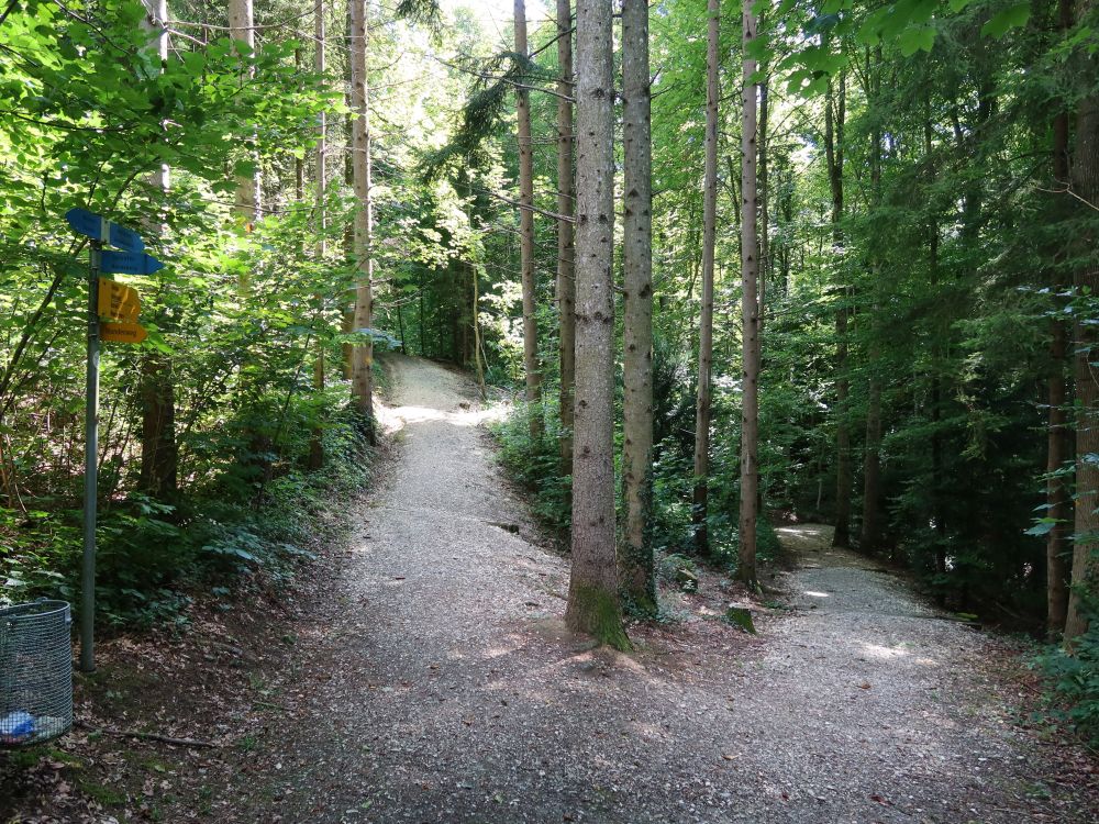 Waldweg