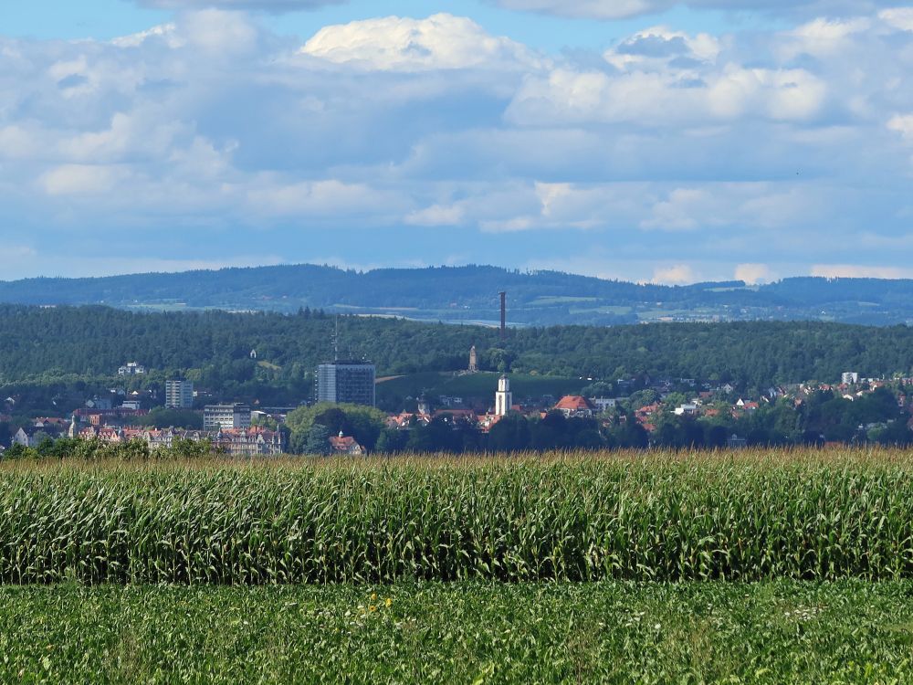 Blick Richtung Konstanz