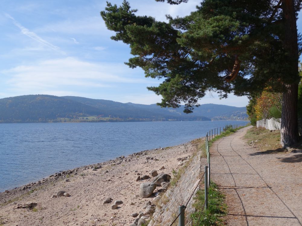 Uferweg am Schluchsee