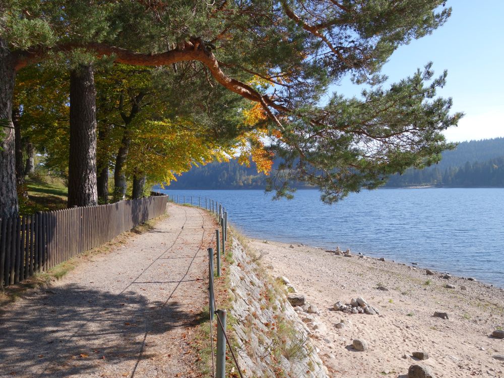 Uferweg am Schluchsee