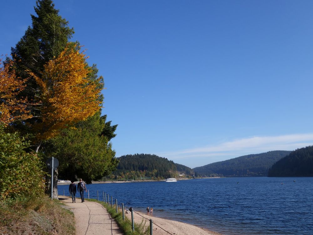 Uferweg am Schluchsee