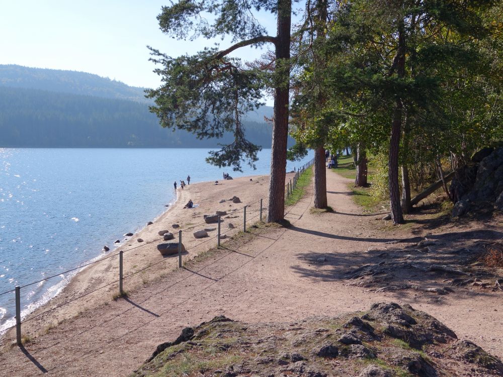 Uferweg am Schluchsee