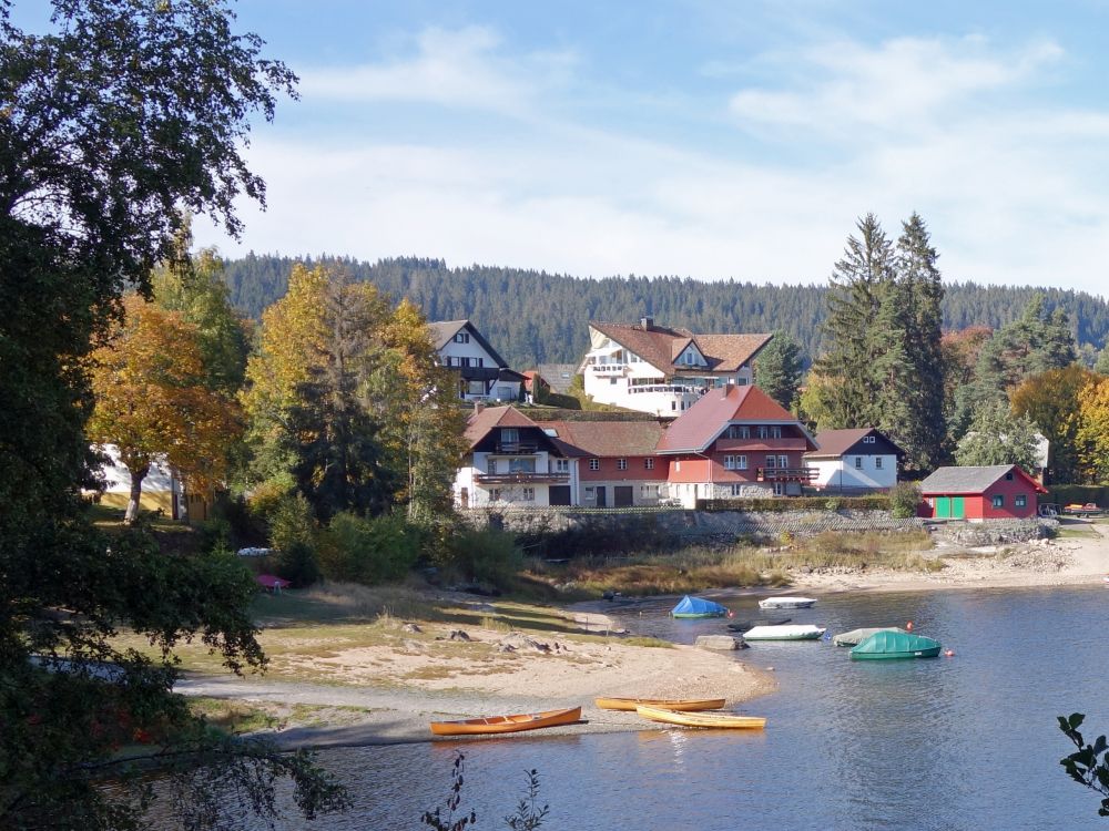 Häuser von Schluchsee