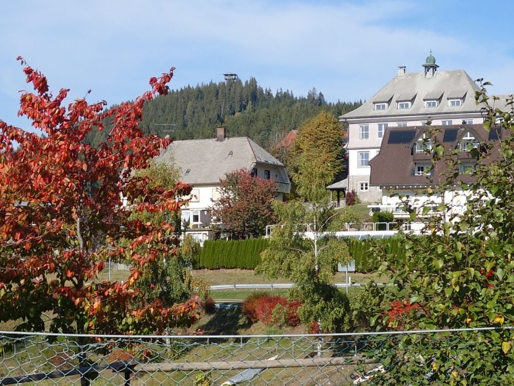 Blick zum Riesenbühl