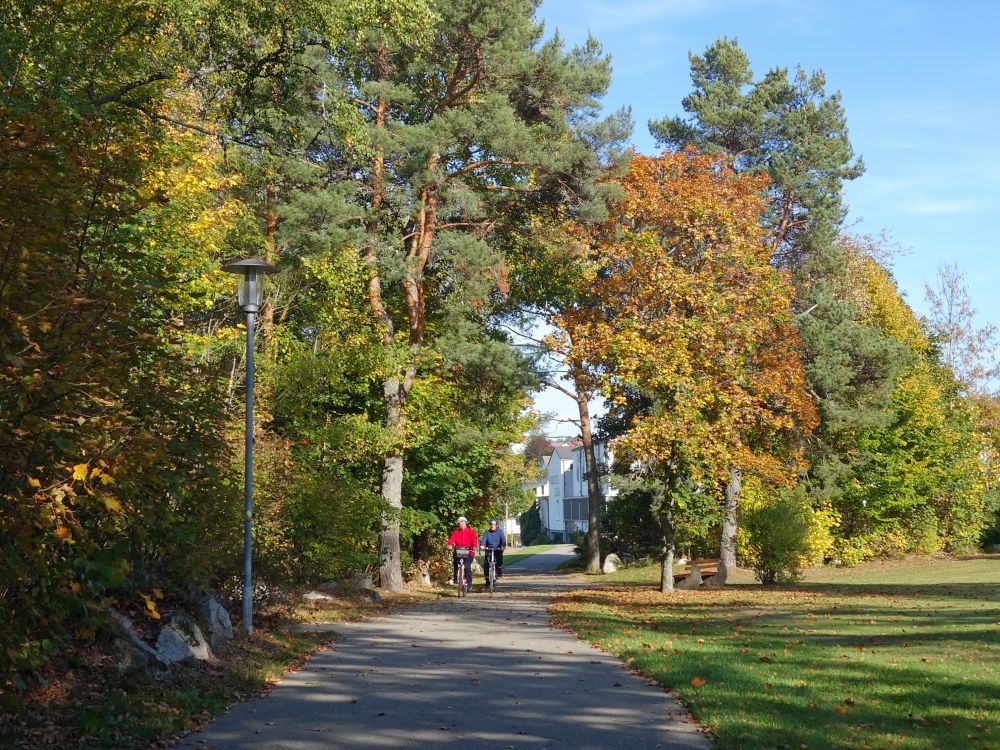 Park in Schluchsee